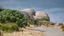 De stier van Granite Island